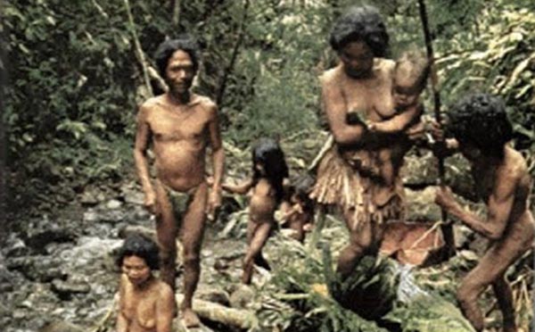 Deconstructing the Tasaday Tribe