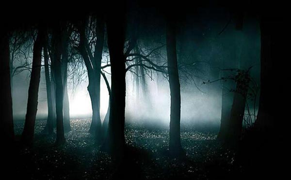 Solving the Haunted Hoia-Baciu Forest