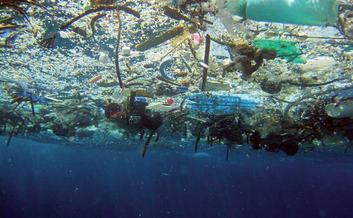 Ocean Plastics: Facts and Falsehoods