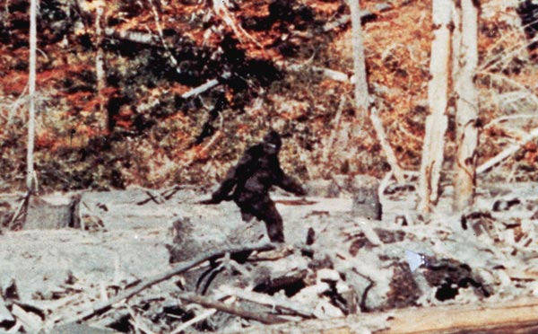 Calling all Patterson Gimlin Film Skeptics: Prove that Patty is a