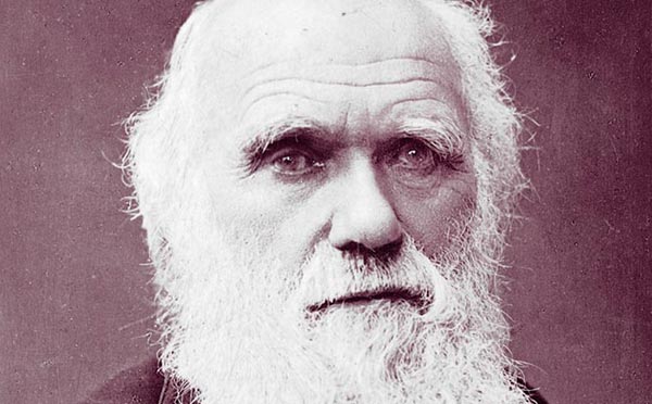 Revisionist Darwinism: The Theory That Couldn't Sit Still