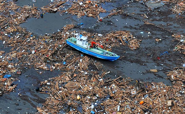 The Sargasso Sea and the Pacific Garbage Patch