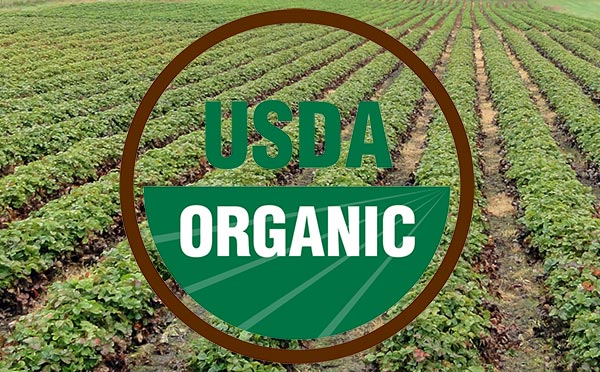 Organic vs. Conventional Agriculture