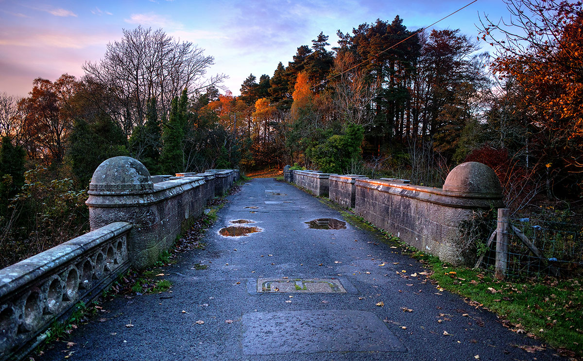 The Suicide Dogs of Overtoun Bridge