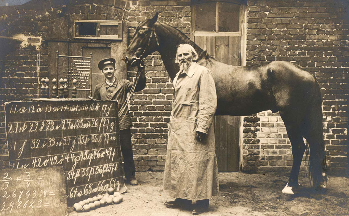 The Horsey History of Clever Hans