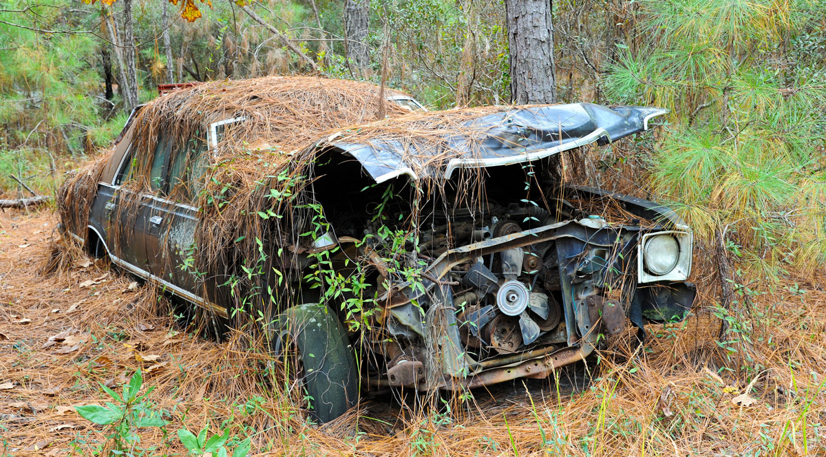 Vehicle Donation